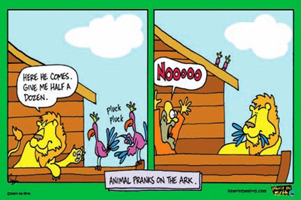 noah-animals-pranks-on-ark